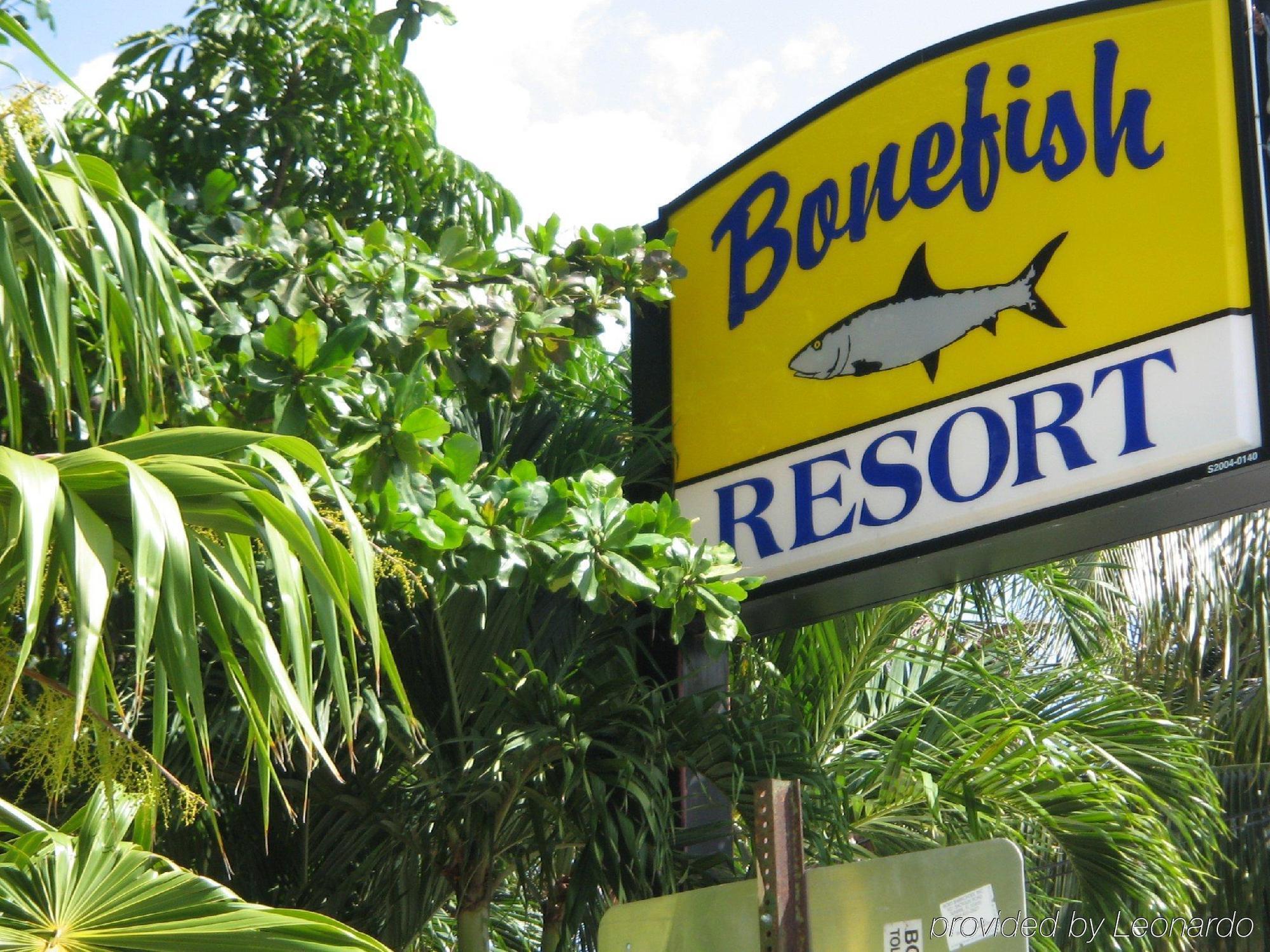 Bonefish Resort Motel Marathon Eksteriør billede